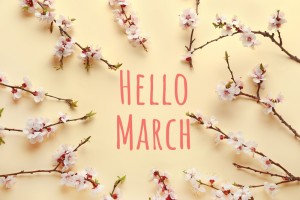 Beautiful,Blooming,Branches,And,Text,Hello,,Spring,On,Beige,Background